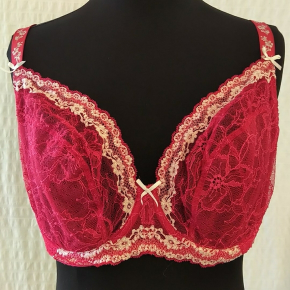 Elixir Floral Mesh Bra - Picture 2 of 4
